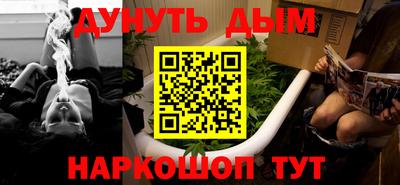 сатива Можга