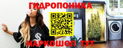 сатива Можга