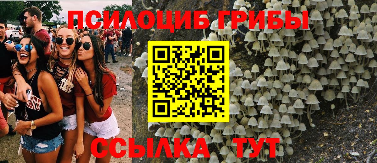Сосновый Бор  Галлюциногенные грибы Magic Shrooms  Вход с VPN 